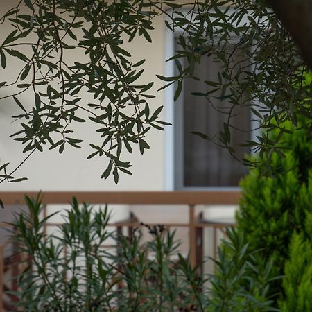 Guesthouse Adonis Loutraki (Pella) Exterior foto