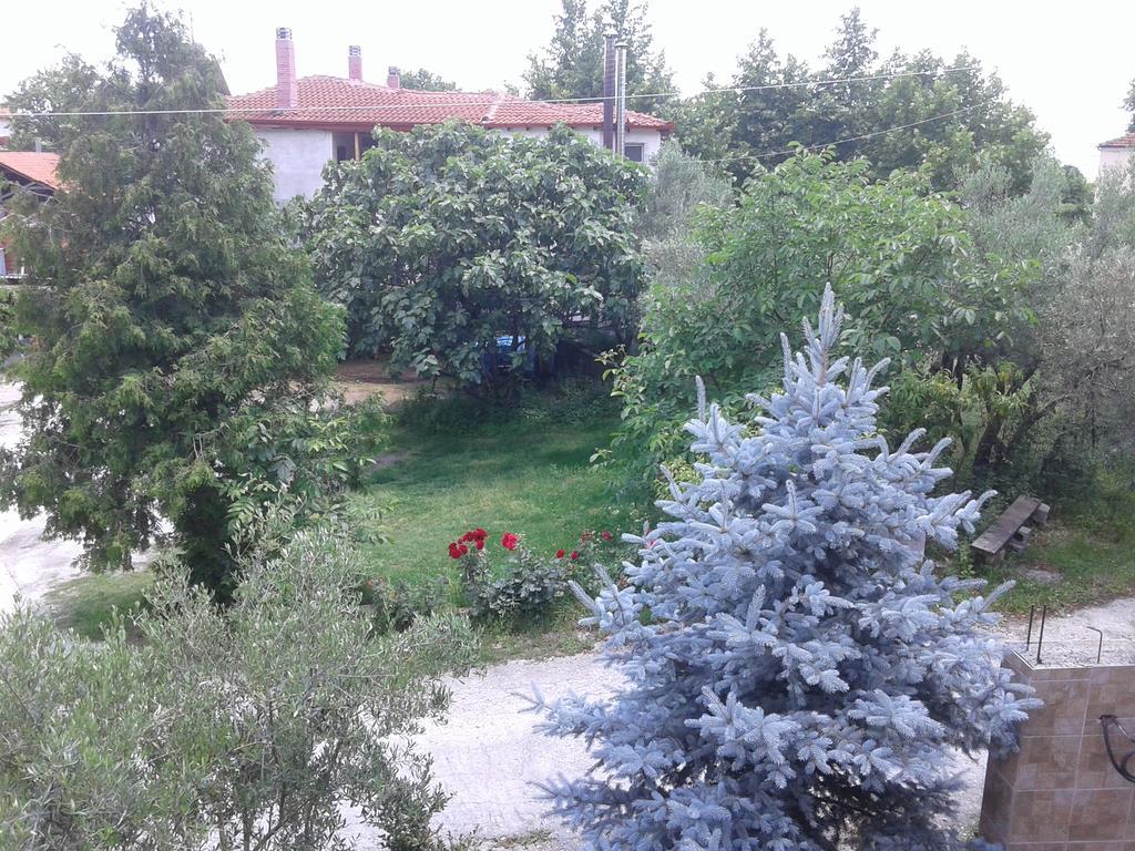 Guesthouse Adonis Loutraki (Pella) Exterior foto